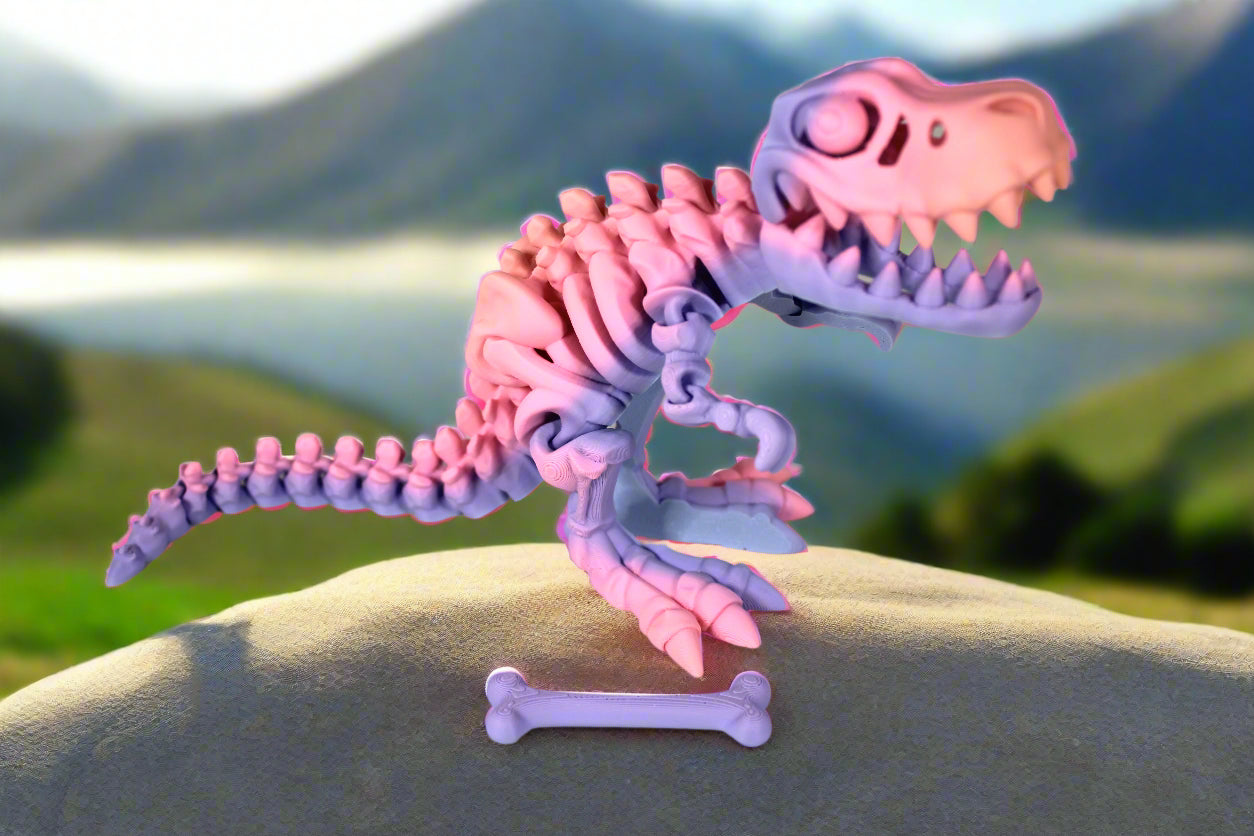 Articulated Skeleton T-Rex Multiple Colors to Choose From