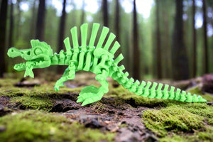 Articulating Skeleton Spinosaurus Multiple Colors to Choose From