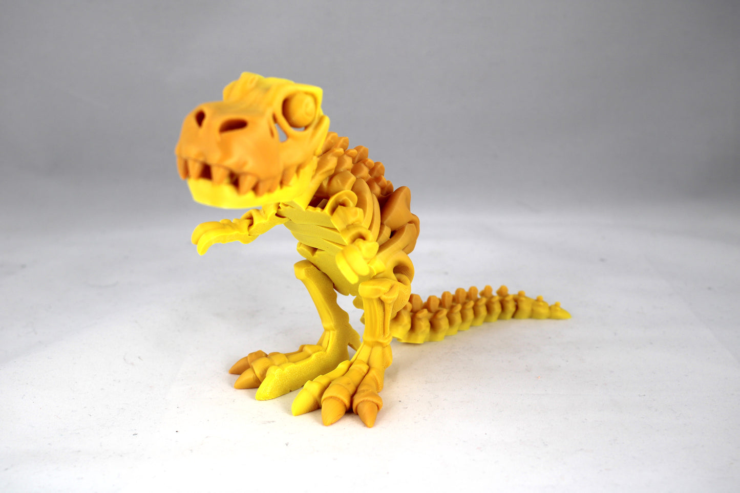 Articulated Skeleton T-Rex Multiple Colors to Choose From