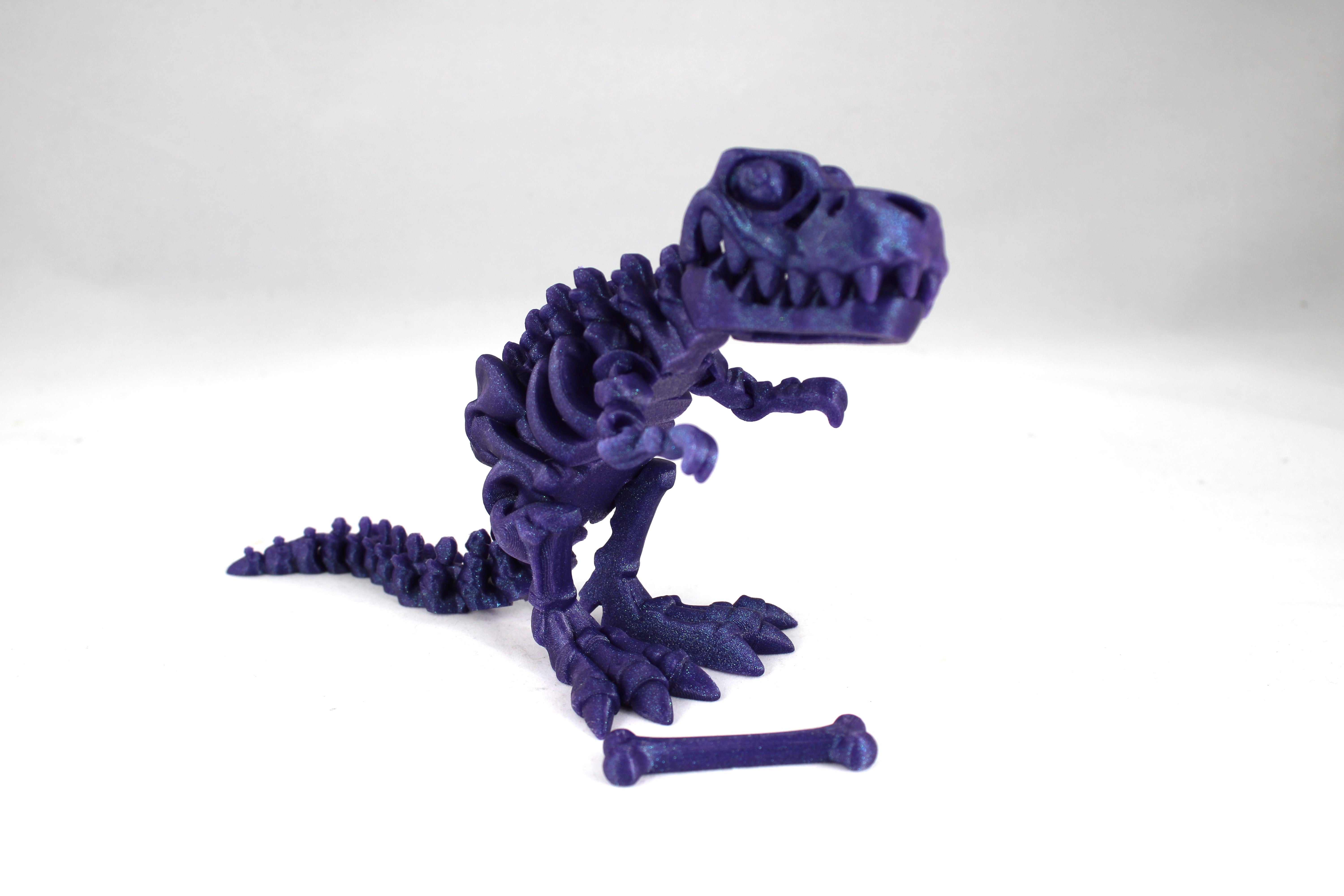 Articulated Skeleton T-Rex Multiple Colors to Choose From