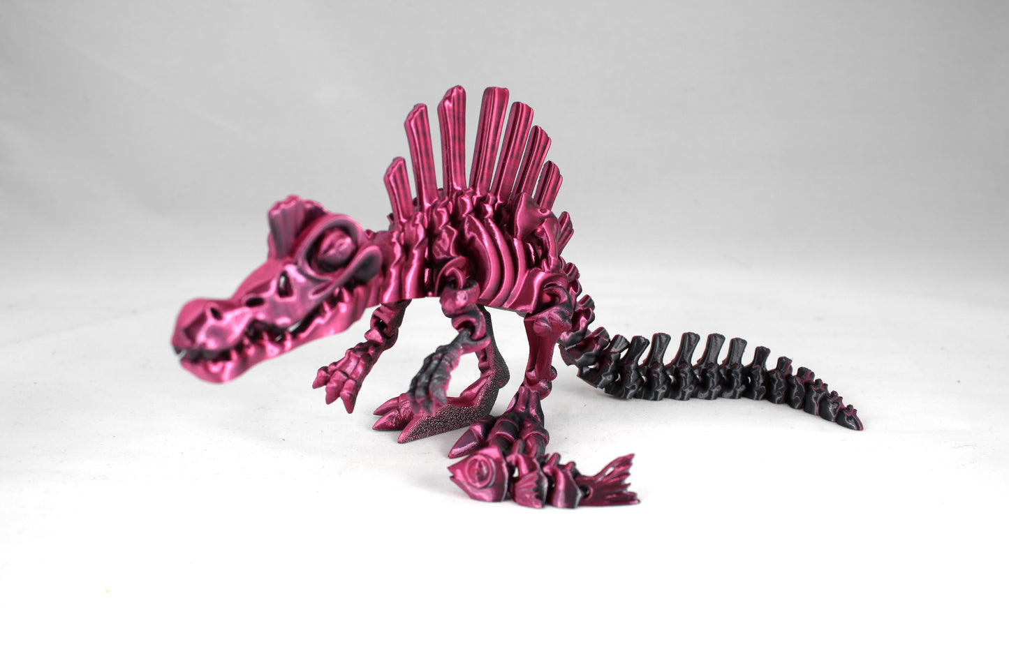 Articulating Skeleton Spinosaurus Multiple Colors to Choose From