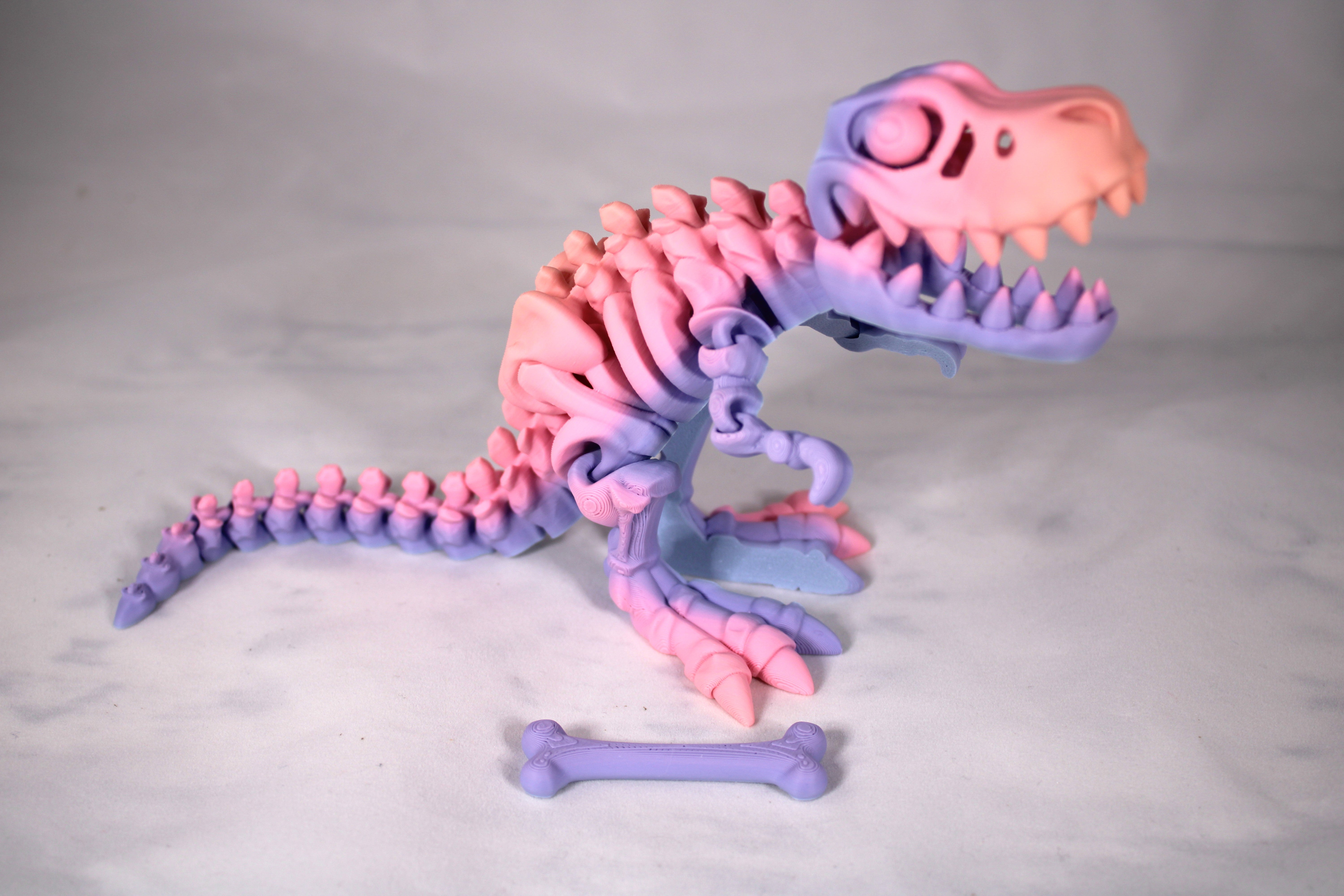 Articulated Skeleton T-Rex Multiple Colors to Choose From